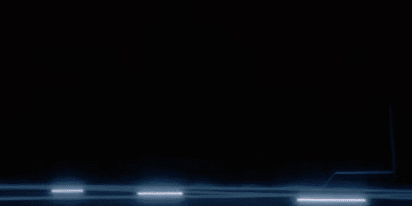 cop animata
