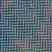 animalcollective.jpg