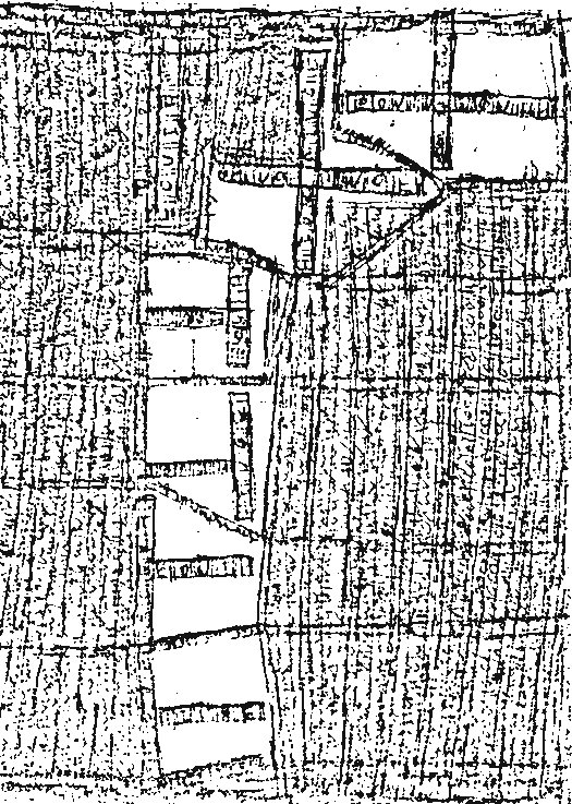 nanofd_disegni