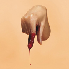 cattelan_toilet