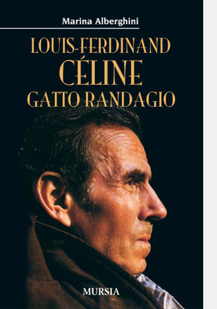gatto_randagio
