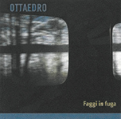 faggi in fuga